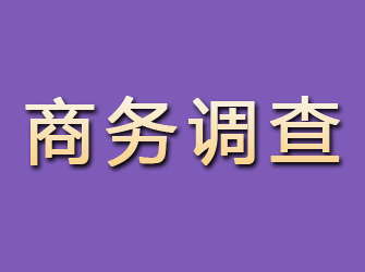 申扎商务调查